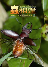 蟲相逢—陽明山國家公園的昆蟲