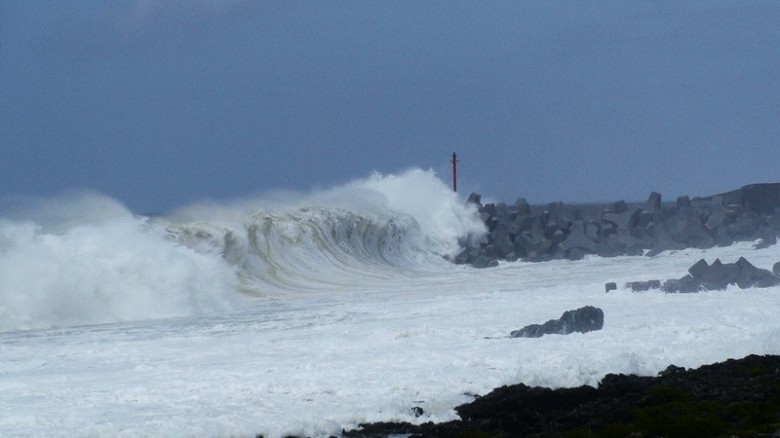 海岸消波塊 墾管處提供