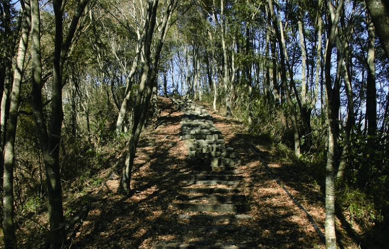 馬奴多斯獵人古道是望鄉族人昔日的獵場，今日發展為生態觀光重點步道 陳孔為攝