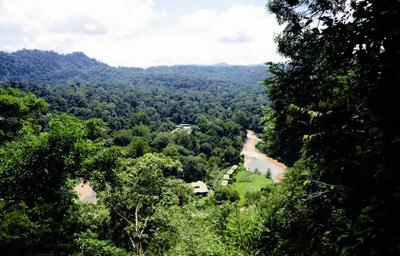 婆羅洲雨林接待區位於山谷中 陳敬淳攝