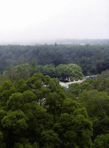 乳山遊客中心藏身於樹海之中 金管處提供