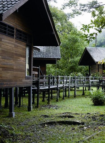 為降低建築物對土地的影響，小木屋分散而建 陳善德攝
