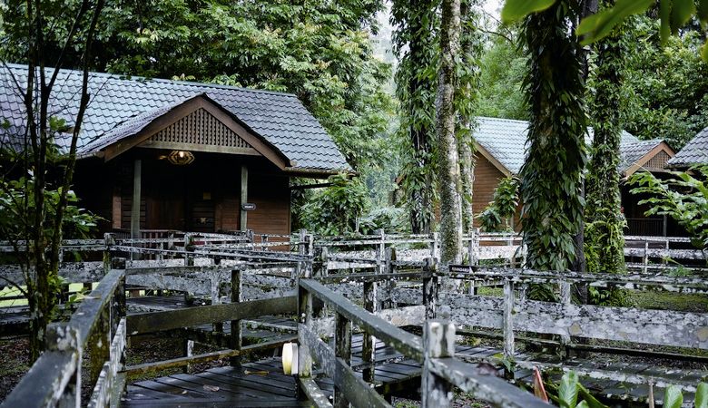 小木屋之間以木棧道相連 陳敬淳攝