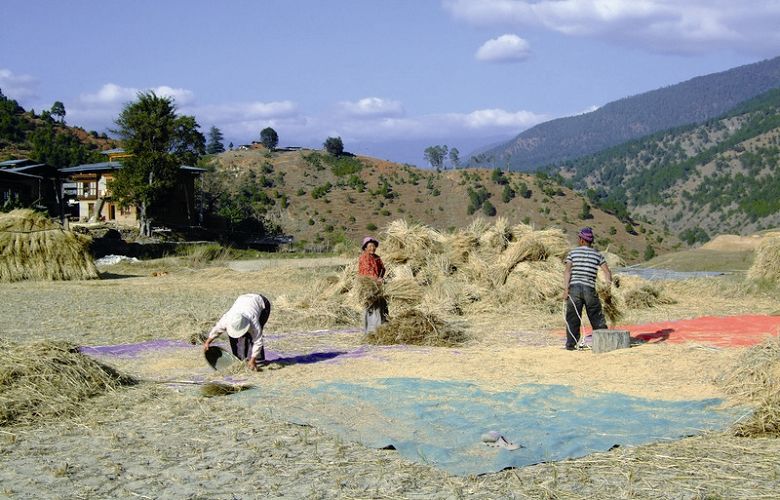 居住在在保護區之複合區內的人民，仍可以繼續從事傳統的農業活動 劉淑慧攝