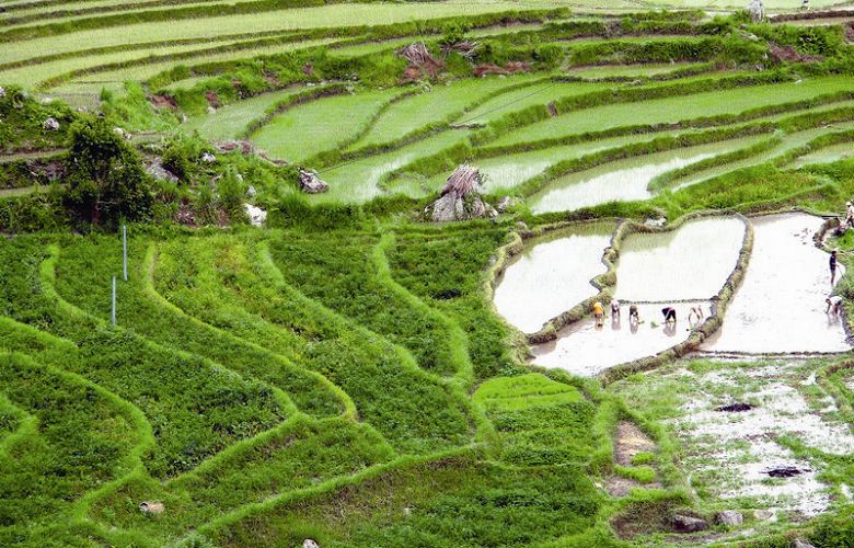 國境之南唯一的山麓平原帶 李承臻攝