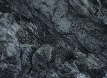 峽谷中的燕子在隧道頂的岩壁上築巢 林茂耀攝