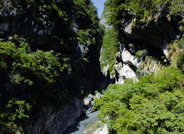 燕子口以燕子為名，春夏季常有燕子出現，並在隧道內築巢 林茂耀攝