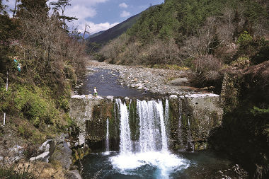 七家灣溪1號壩拆除前，形成直接的阻隔，造成櫻花鉤吻鮭 無法交流／王筱雯提供 