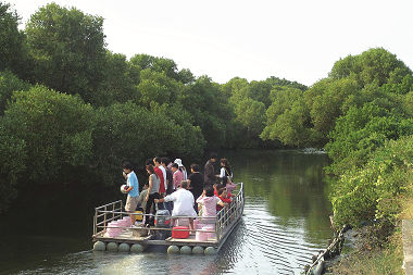 四草紅樹林的綠色廊道，如與臺南鄰近鄉鎮整合規劃，將更能增加周邊的經濟利益／廖泰基攝