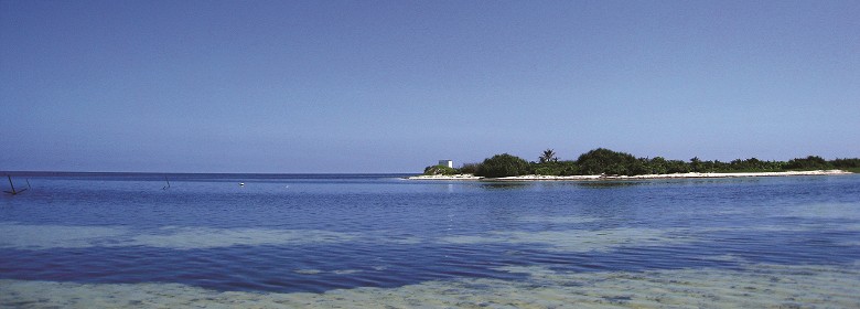東沙島，東沙鳥