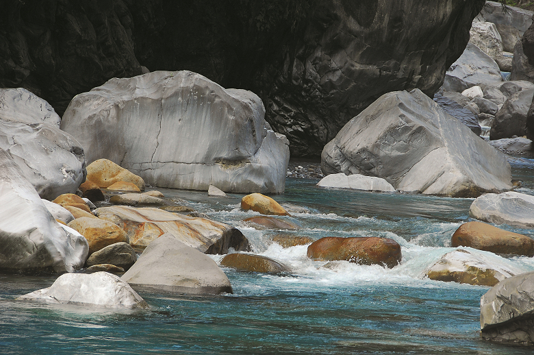 臺灣絨螯蟹適應砂卡礑溪急流的環境／林茂耀攝