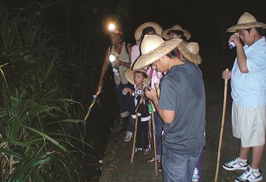 夜間生態旅遊遊程