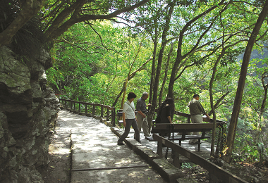 砂卡礑步道觀景平臺／林茂耀攝