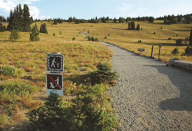 國家公園的原野地區步道則保持原始地表環境，僅做簡易路線區劃 ／郭育任攝 