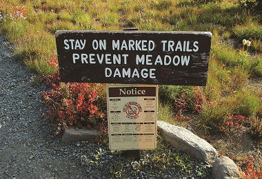 攝提醒遊客不要跨越步道、衝擊高山草甸生態的告示牌誌， 十分簡潔並融入環境／郭育任攝 