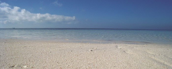 東沙島潔白沙灘為海龜重要產卵地／海管處提供