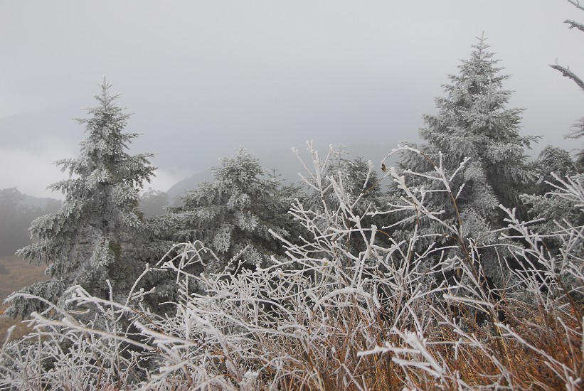 霧淞／林茂耀攝