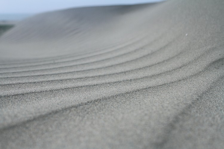 頂頭額汕的沙紋／邱百合攝