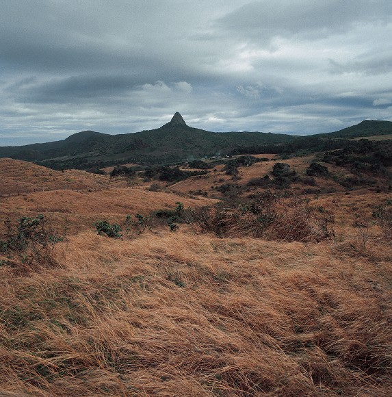 冬末，恆春大尖山山腳下的草原因風不斷吹拂而枯黃／墾管處提供