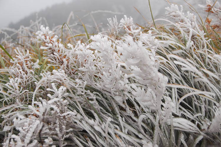 霧淞／林茂耀攝