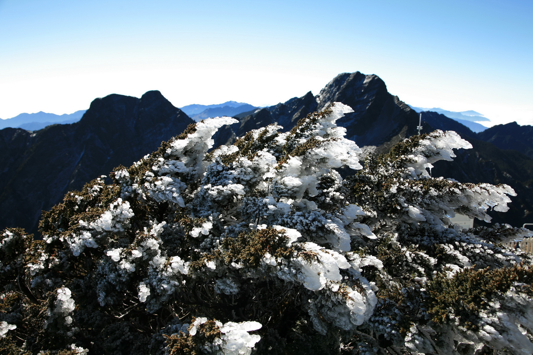 霧淞／洪敏智攝