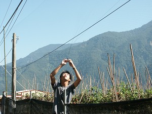 下：研究人員解除鳥網上的野鳥／丁宗蘇攝