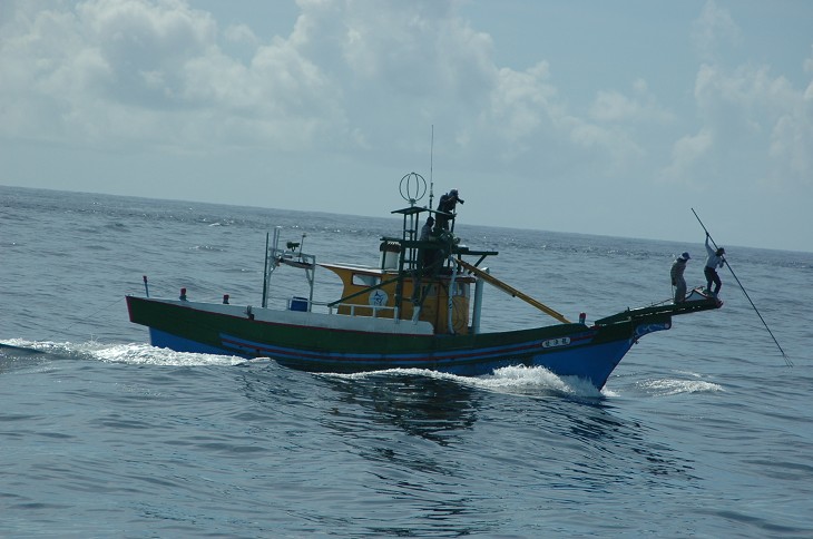鏢魚手站在鏢魚船最前端尋找目標／洪曉敏攝，水產試驗所東部海洋生物研究中心提供