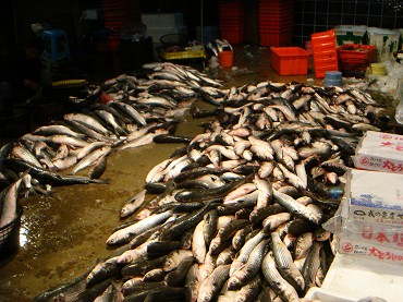 曬烏魚子／黃光瀛攝