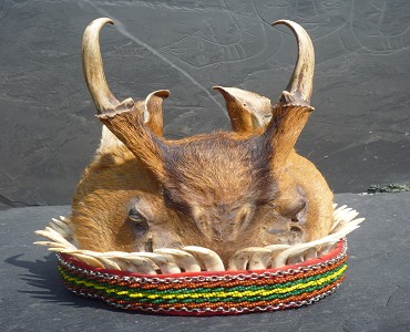 以山羌獠牙裝飾的山羌頭帽，用來榮耀勇士的戰功／謝美蘭攝