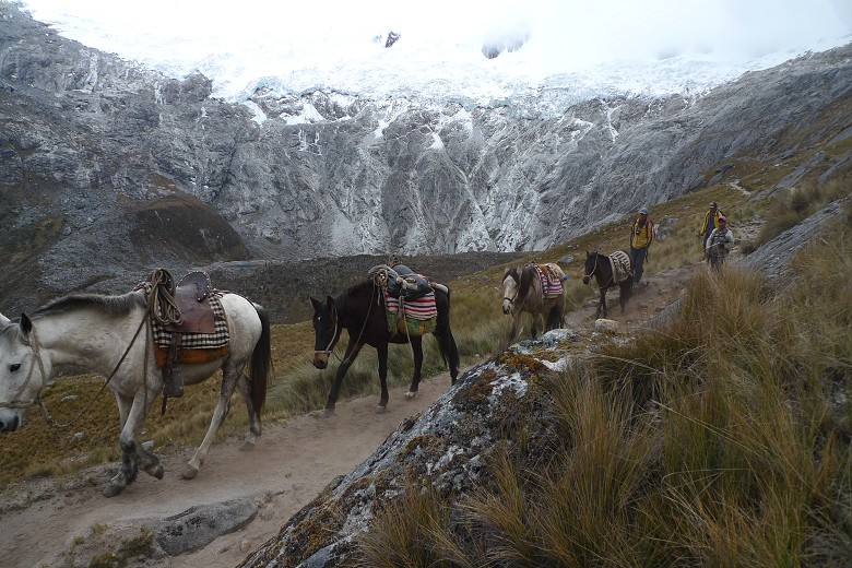 驢夫趕著驢子走在登山步道上／韓令芳攝