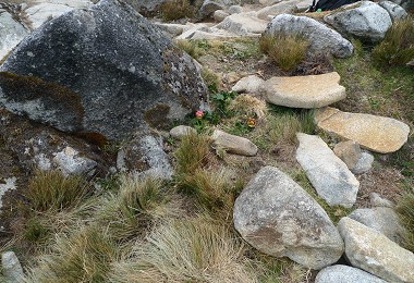 Rima-rima生育的環境／韓令芳提供