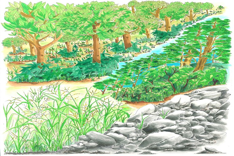 綠詞新解／陳莉恩