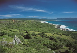 鼓動蛇舞迎曙光