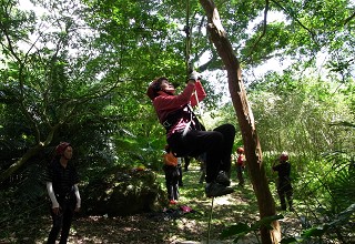 太魯閣季節活動-爬樹及風險管理課程