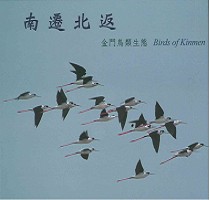  南遷北返—金門鳥類生態