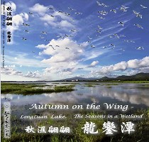 秋濕翩翩—龍鑾潭