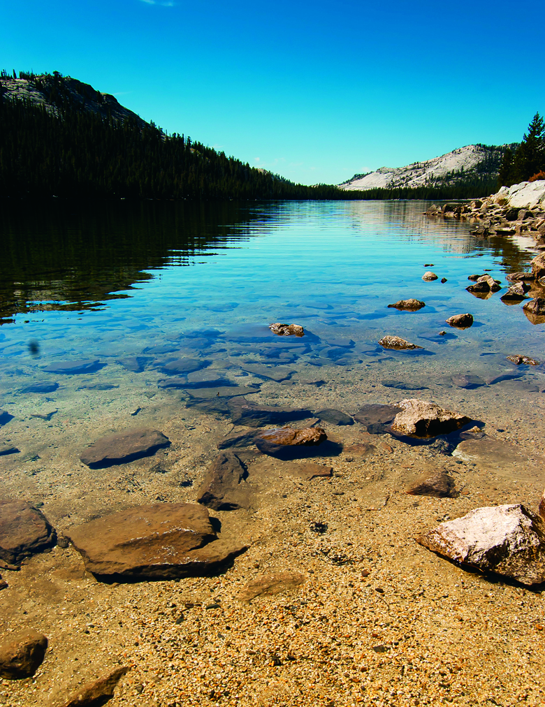 08-國際視野B1_生態旅遊的品質認證