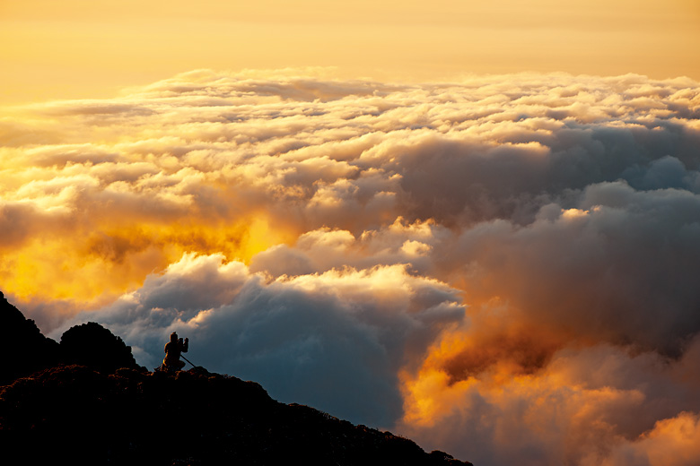 維護生物多樣性，關係著人類自身的利益；保育將是第一步