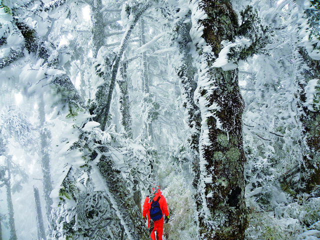 精采人物A5_積雪的羊頭山_王永春