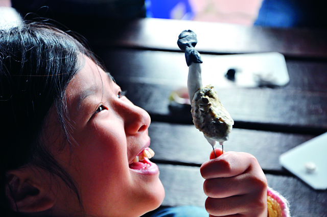 野外教室4_豐富多彩的濕地是最佳的環境學習樂園。