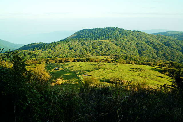 文／曾珮瑩 圖／劉思沂