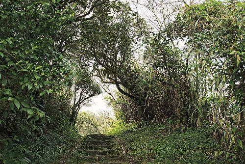 步道平緩易行走