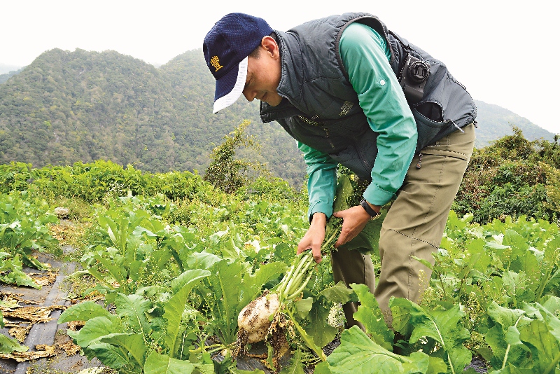 輔導單位慈心有機農業發展基金會人員，到西寶關懷農友，了解作物生長情形。