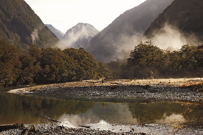 進入Milford Track 不久，清澈幽靜的溪流即一路伴隨∘