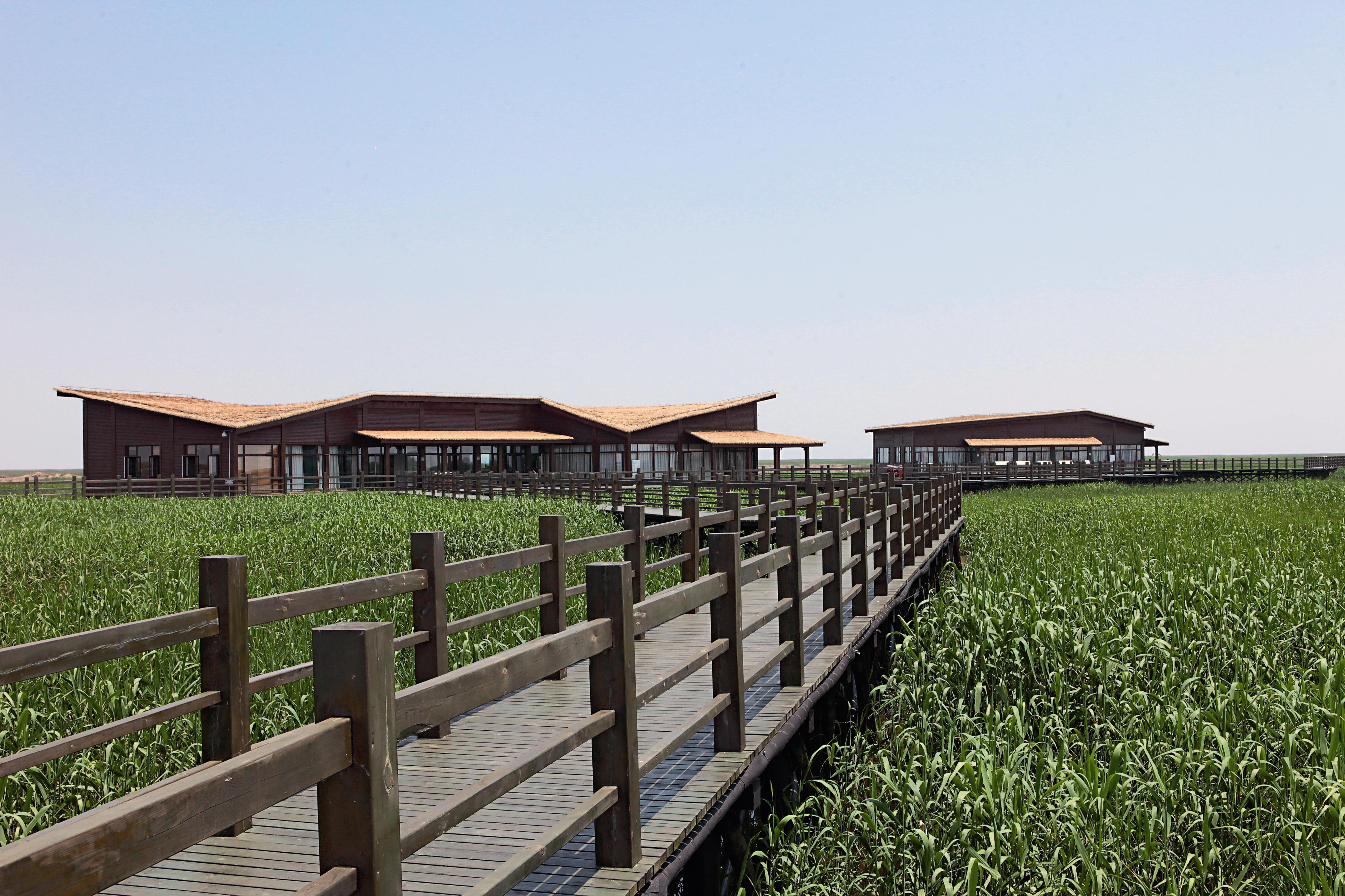 Korea's Ganghwa Island has a large intertidal zone, and a flourishing ecotourism industry brings visitors to see the area's Black-faced Spoonbills. Ganghwa Island has established a cooperative relationship with Taijiang National Park.