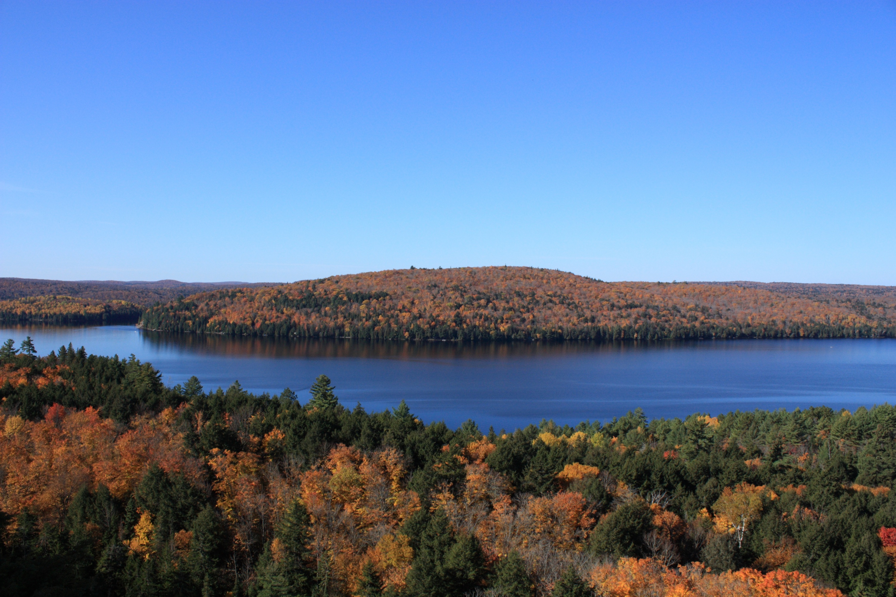 加拿大Algonquin公園的濕地。圖／mindgrow