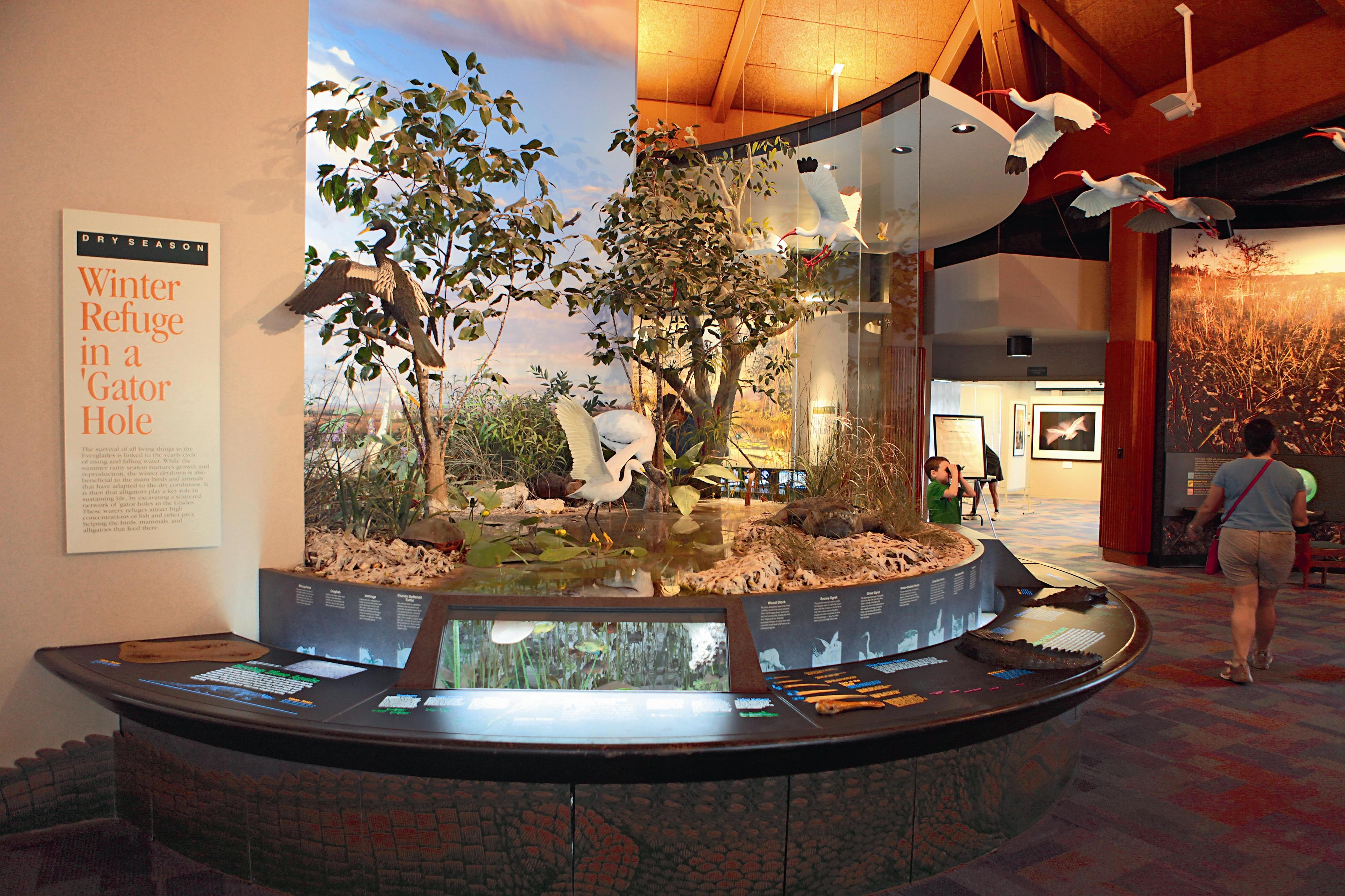 美國大沼澤國家公園內的遊客中心內設的按鍵式導覽解說及生態展示。