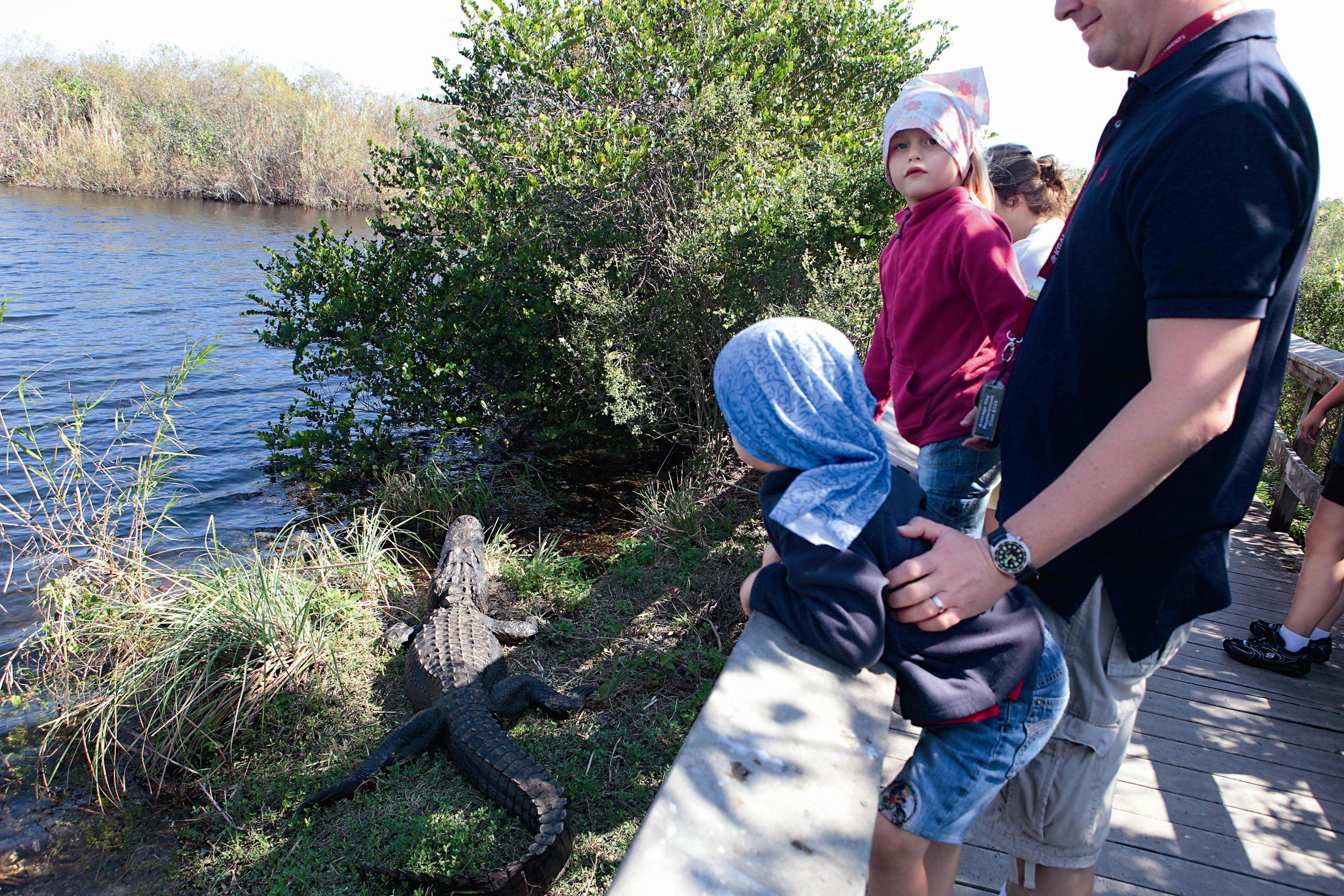 美國大沼澤國家公園提供濕地環境教育，幼兒從小學習與自然生物為夥伴。