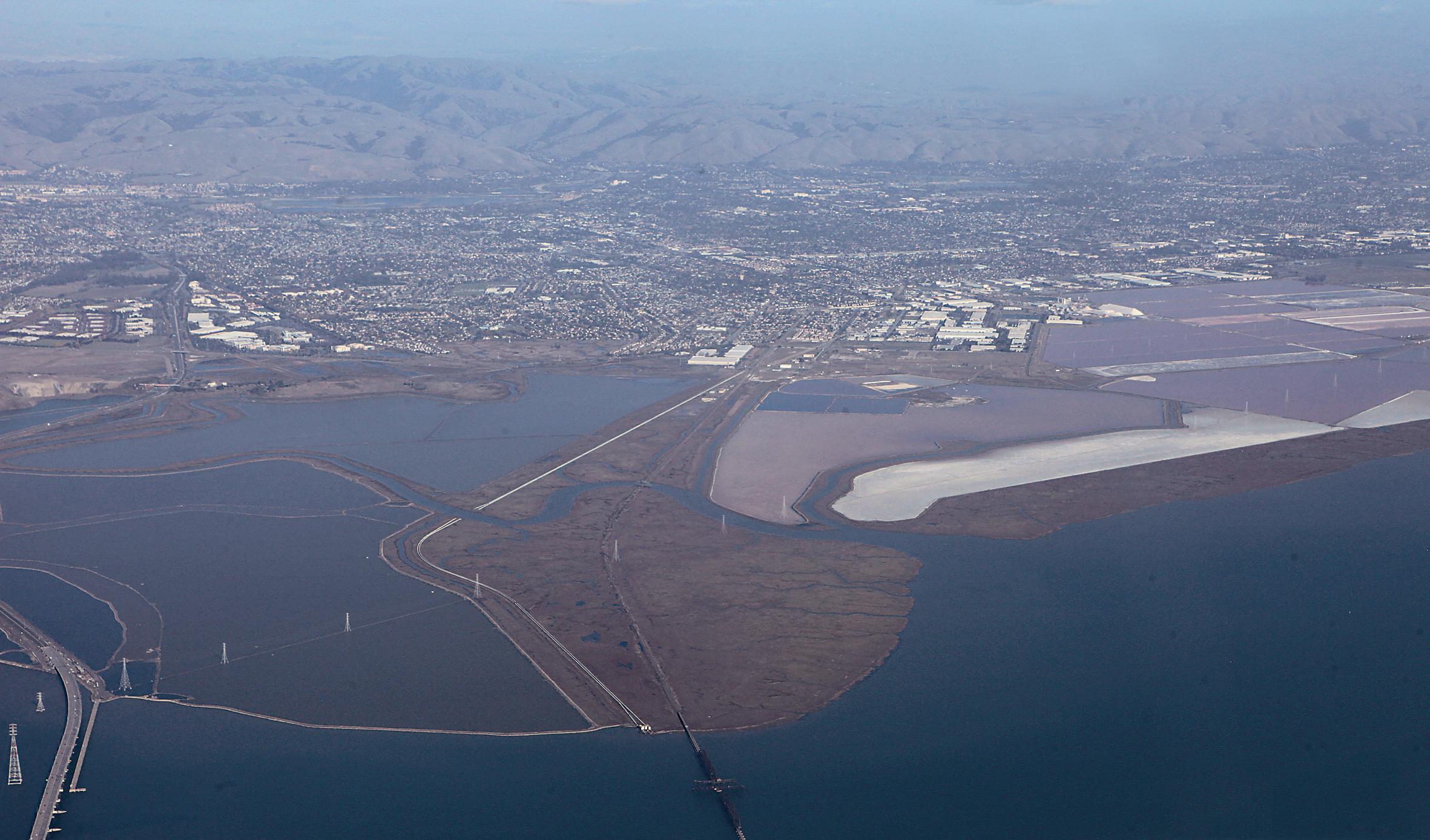 San Francisco Bay Commuter trains passing through the salt marshes do not disturb the birds. This area is an example of how conflict between human development and nature can be minimized.