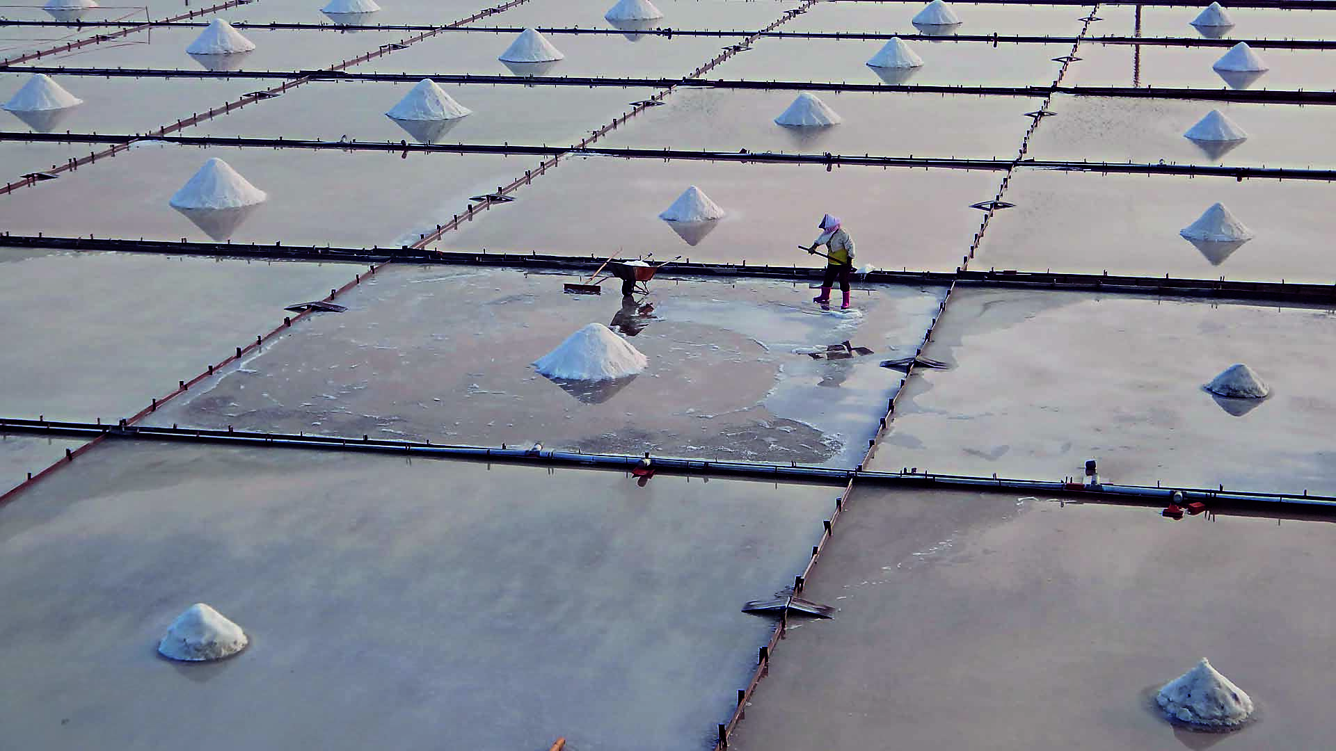 Salt fields were formely a wetlands environment closely linked with human activities.